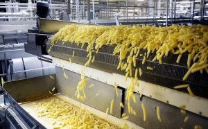 راهنمای راه اندازی خط تولید فرنچ فرایز
