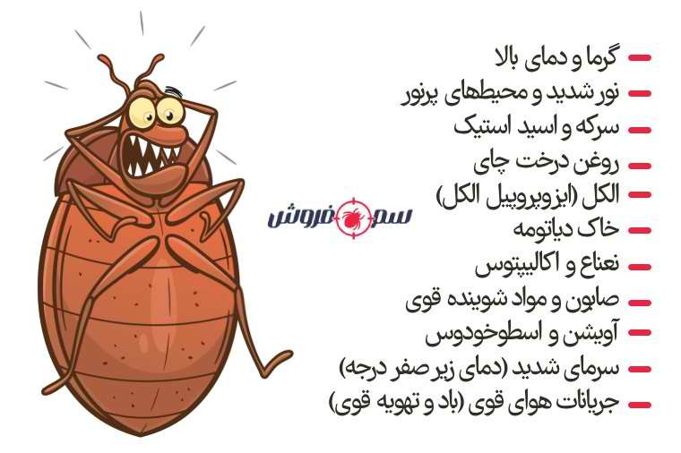 ساس از چی بدش میاد
