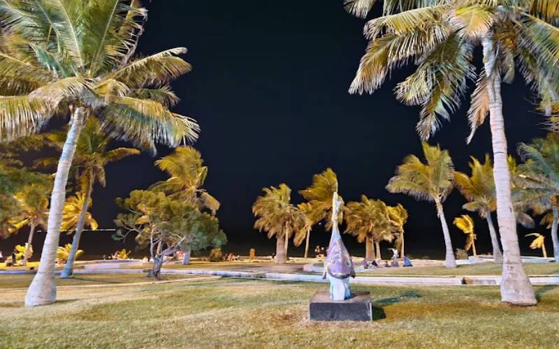 بهترین هتل های نزدیک پارک زیتون قشم