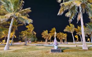 بهترین هتل های نزدیک پارک زیتون قشم؛ نزدیک ساحل و مراکز خرید