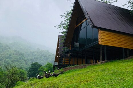 کلبه چوبی و جنگلی